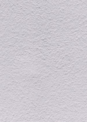 Papel pintado de algodón 20/1