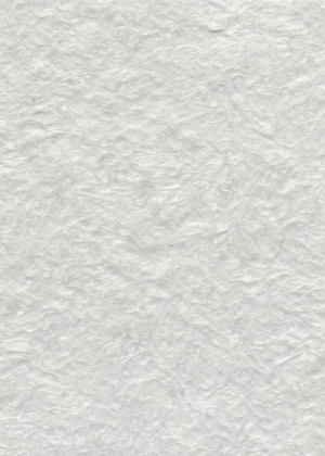 Papel pintado de algodón 33/6