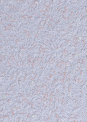 Papel pintado de algodón 6/3
