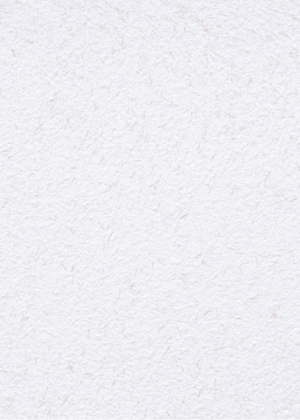 Papel pintado de algodón 22/4